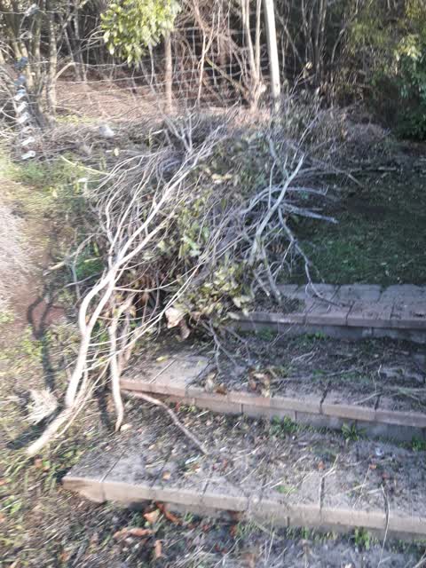 Parks, a report photo