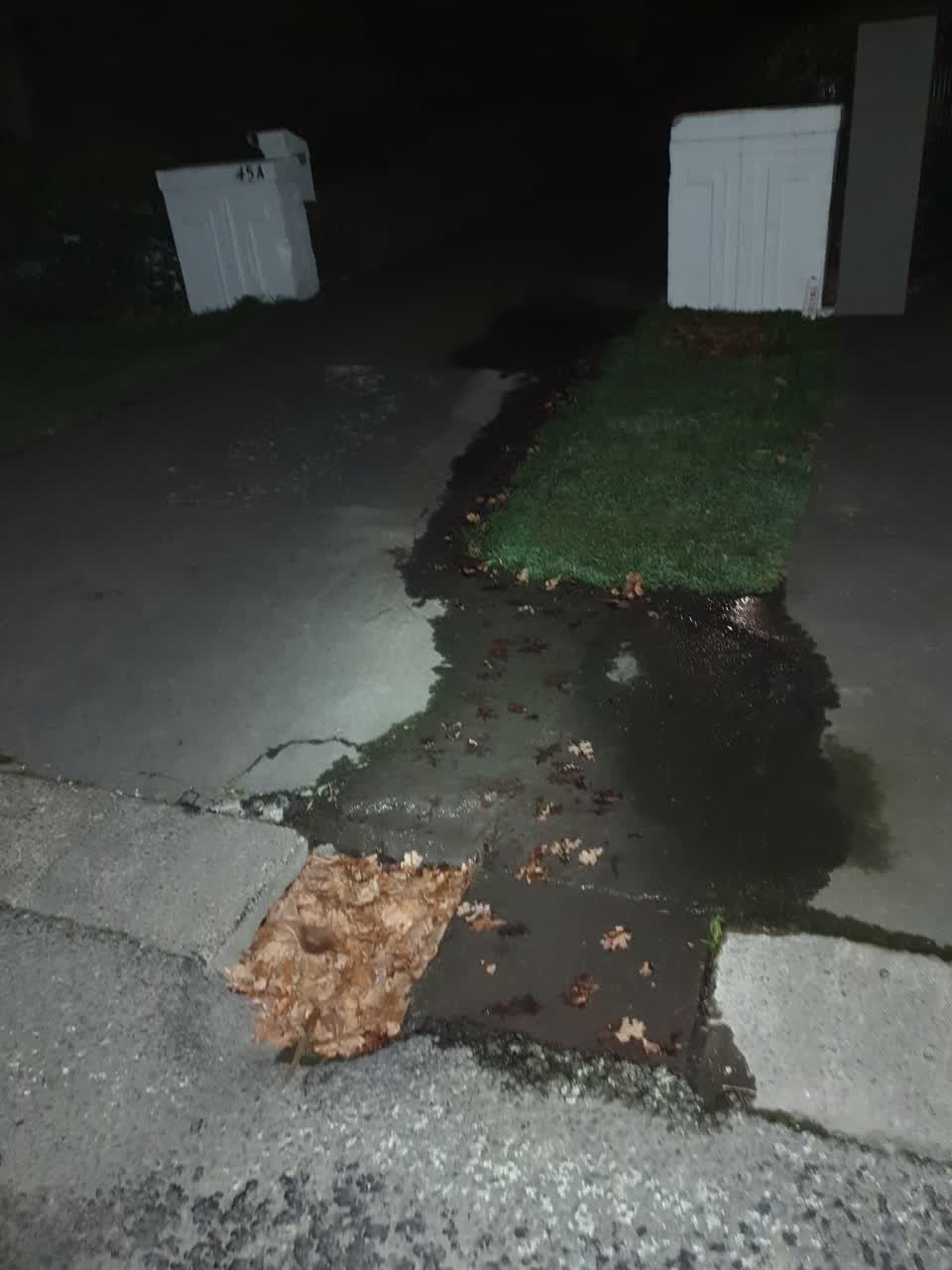The photograph attached to this sewer - leak / blockage report
