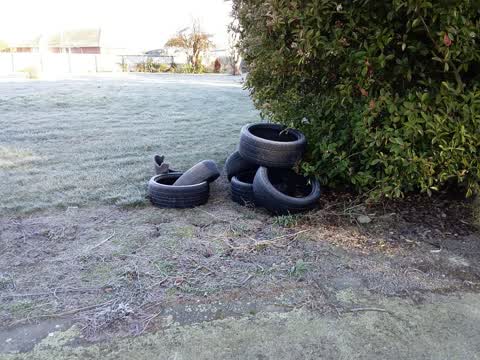 Rubbish/Recycling, a report photo