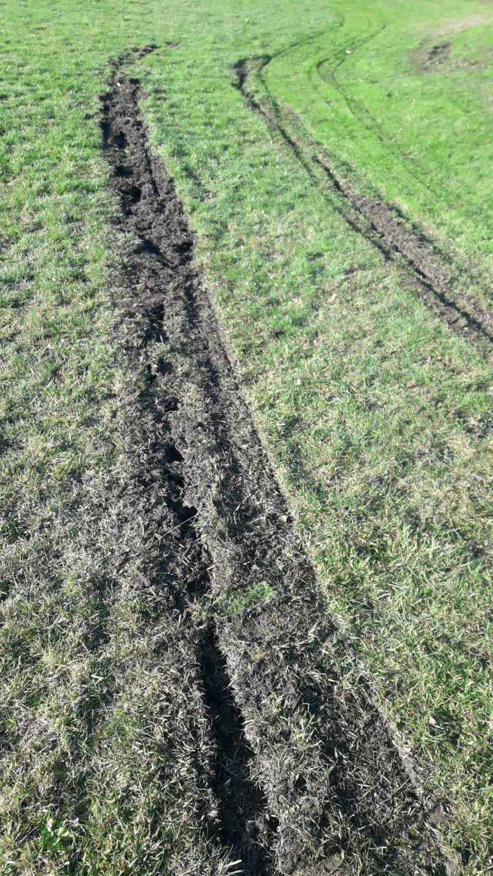 The photograph attached to this parks report