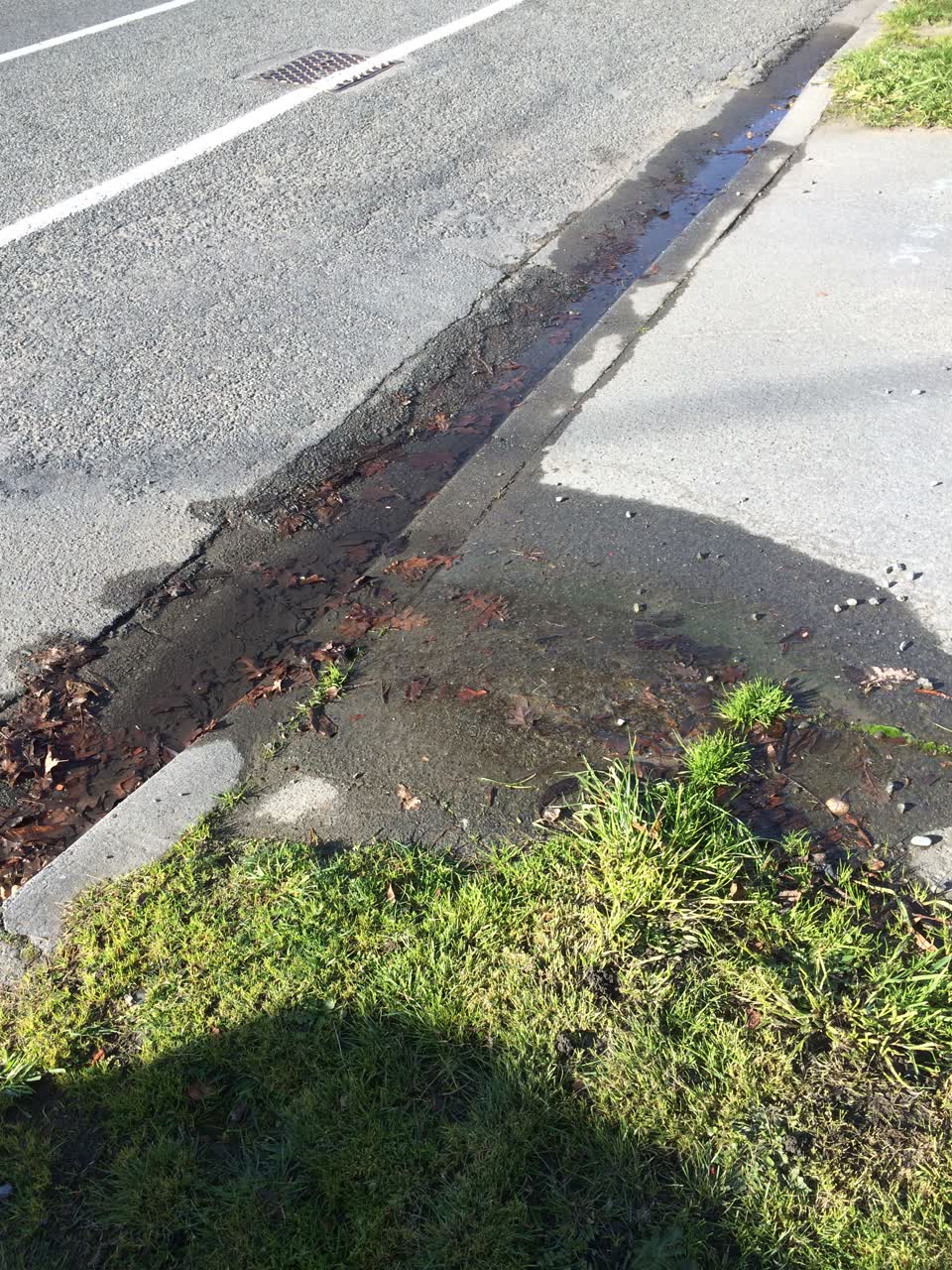 The photograph attached to this water leak report