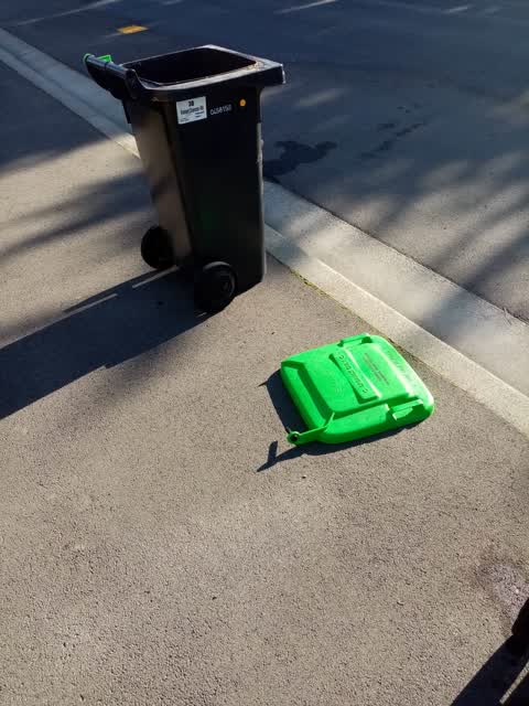 Rubbish/Recycling, a report photo