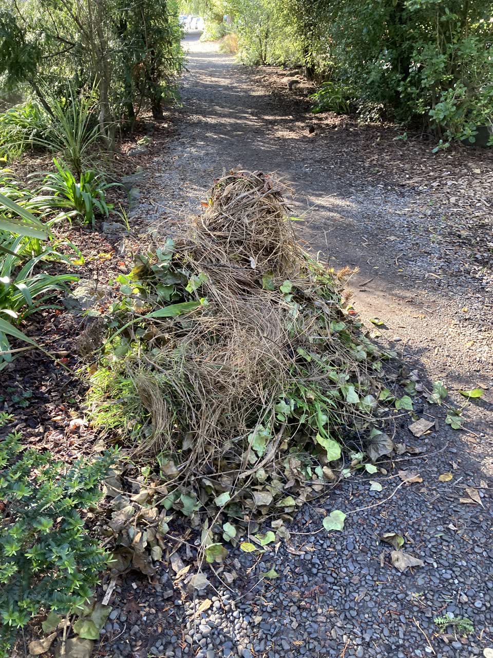 The photograph attached to this parks report
