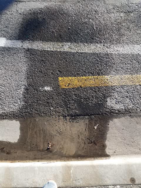 Water Leak, a report photo