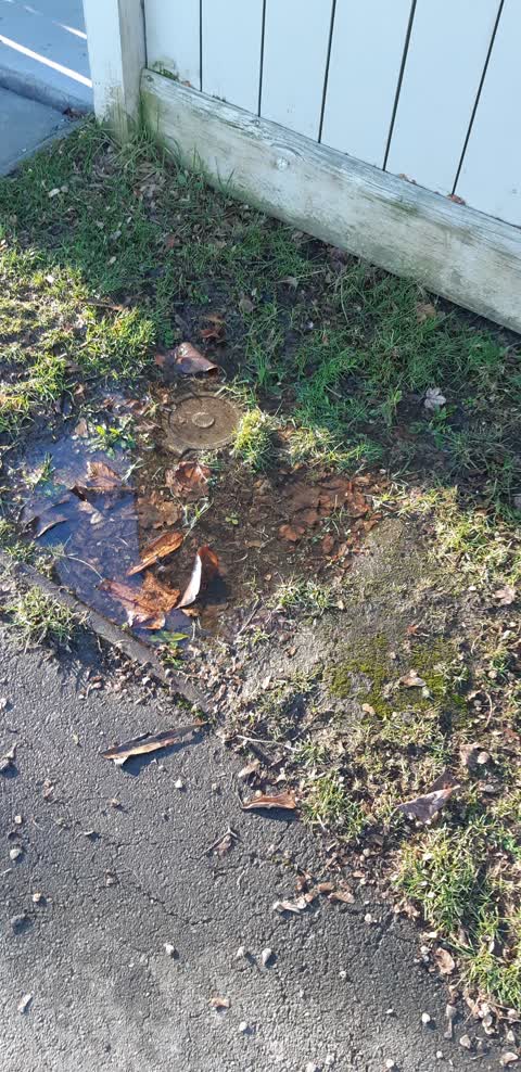 Water Leak, a report photo