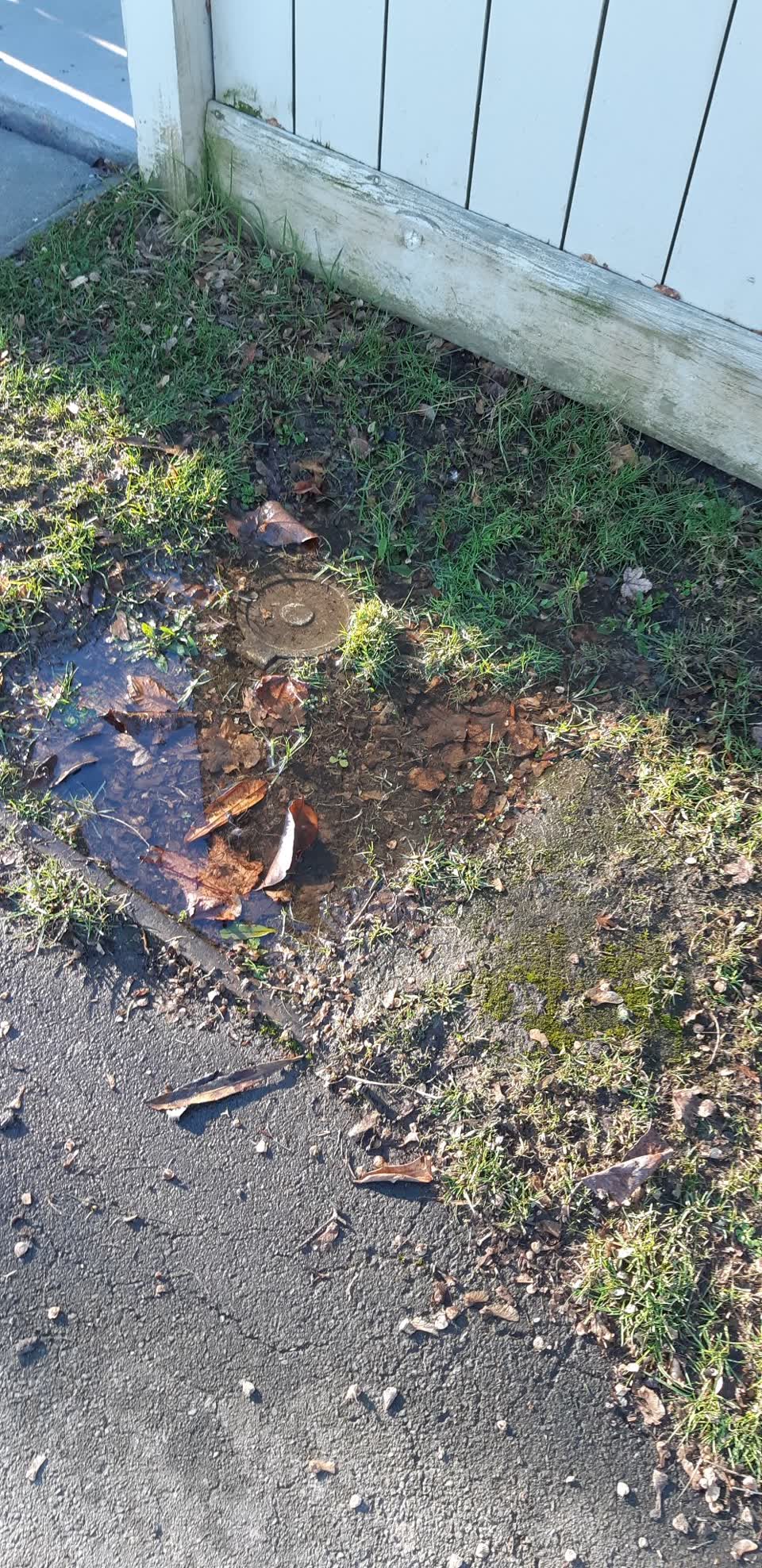 The photograph attached to this water leak report