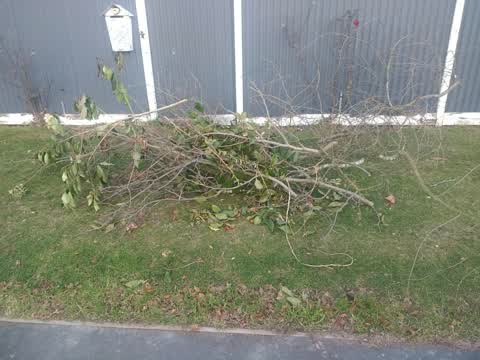 Rubbish/Recycling, a report photo