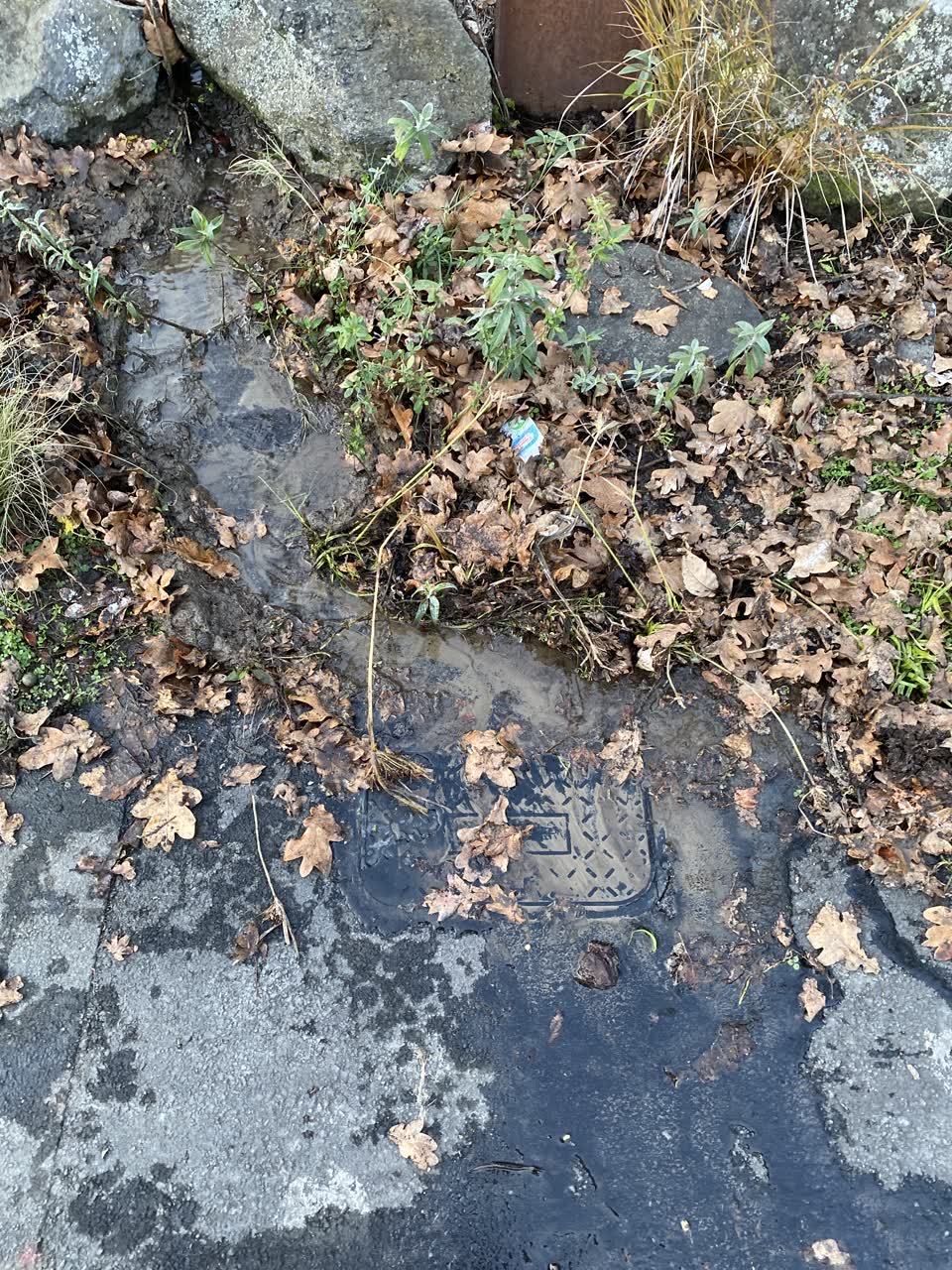 The photograph attached to this water leak report