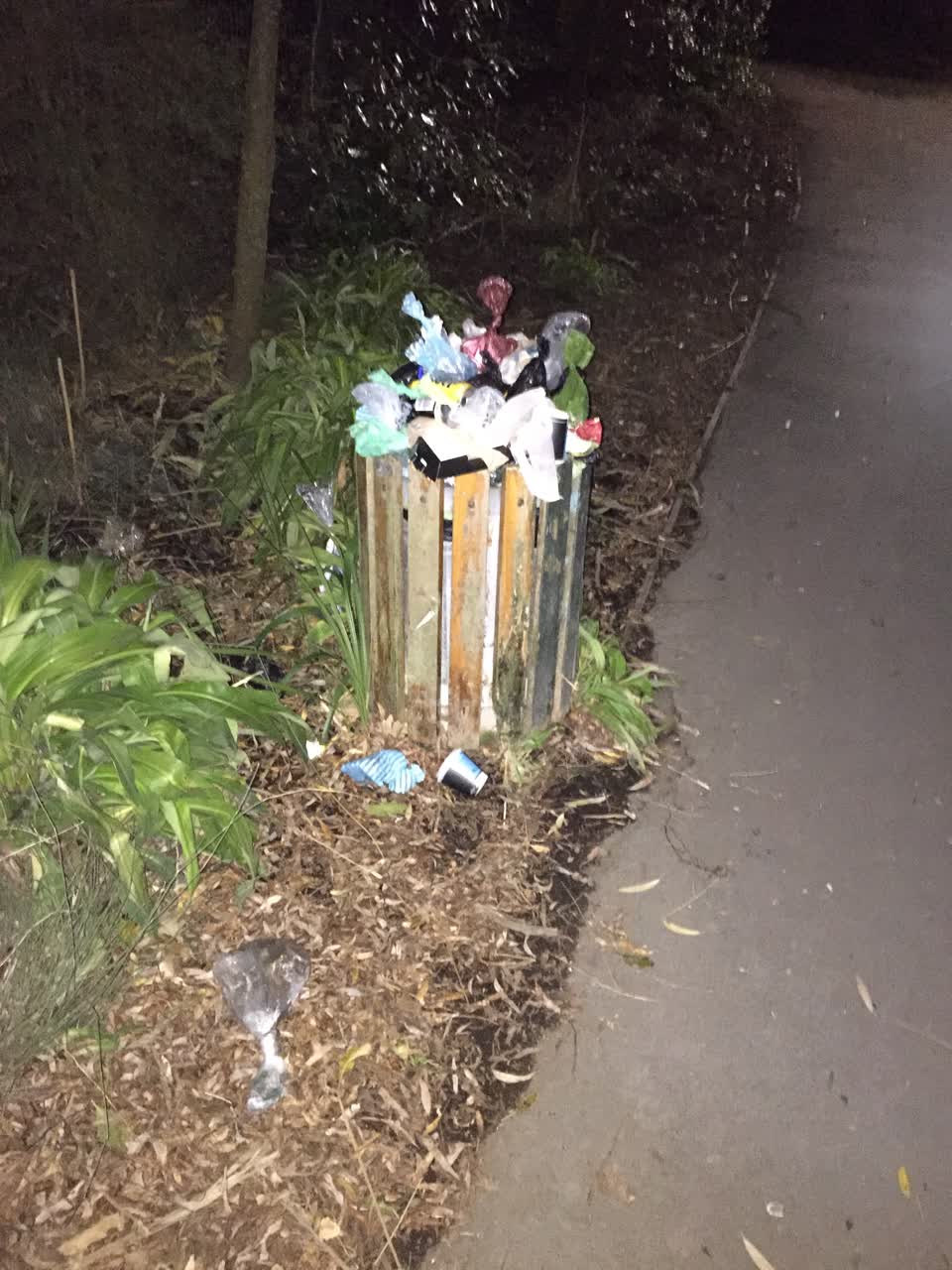 The photograph attached to this rubbish/recycling report