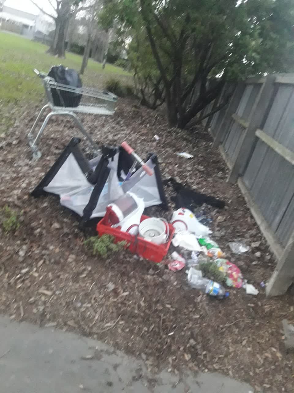 The photograph attached to this parks report