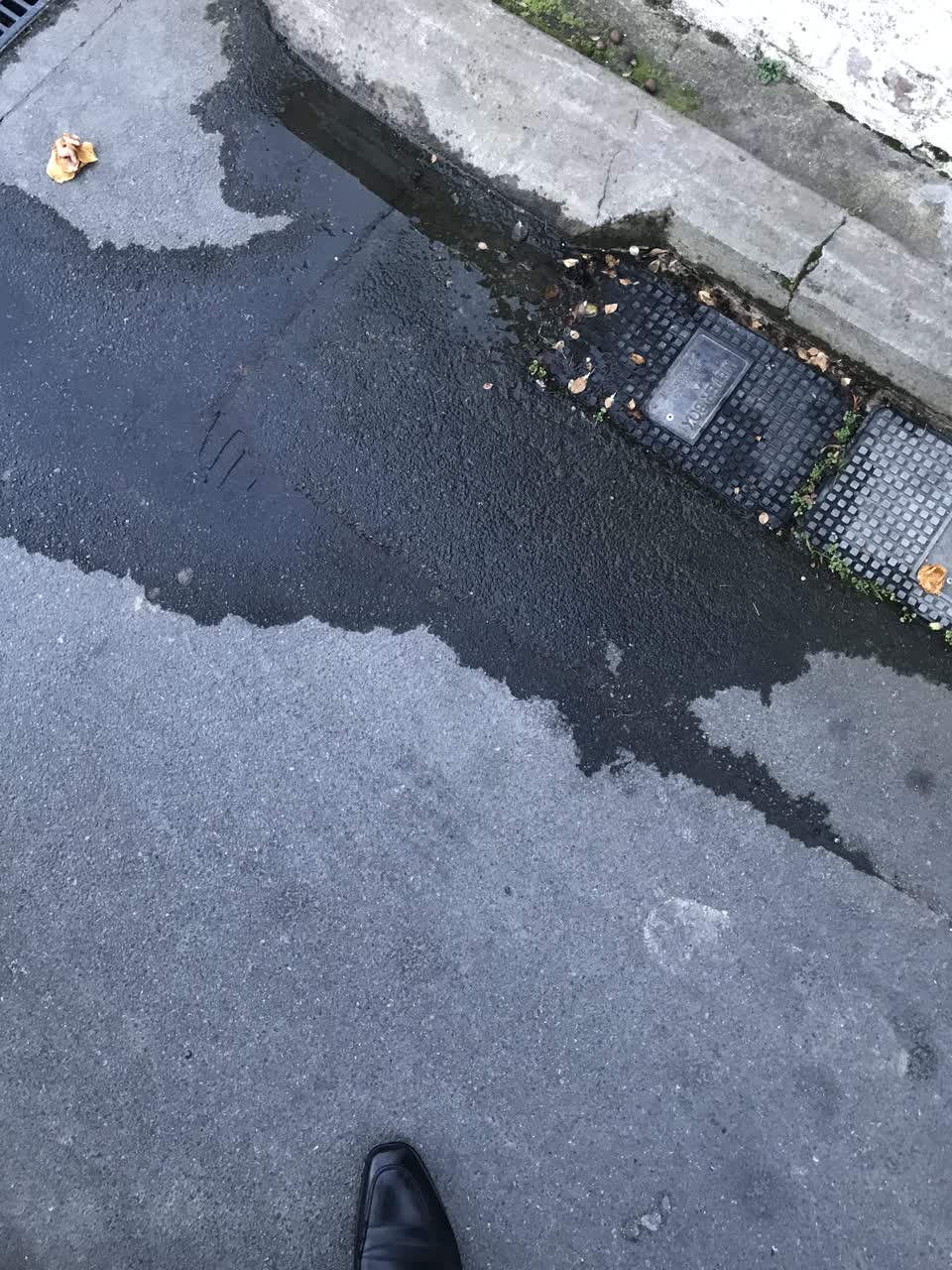 The photograph attached to this water leak report
