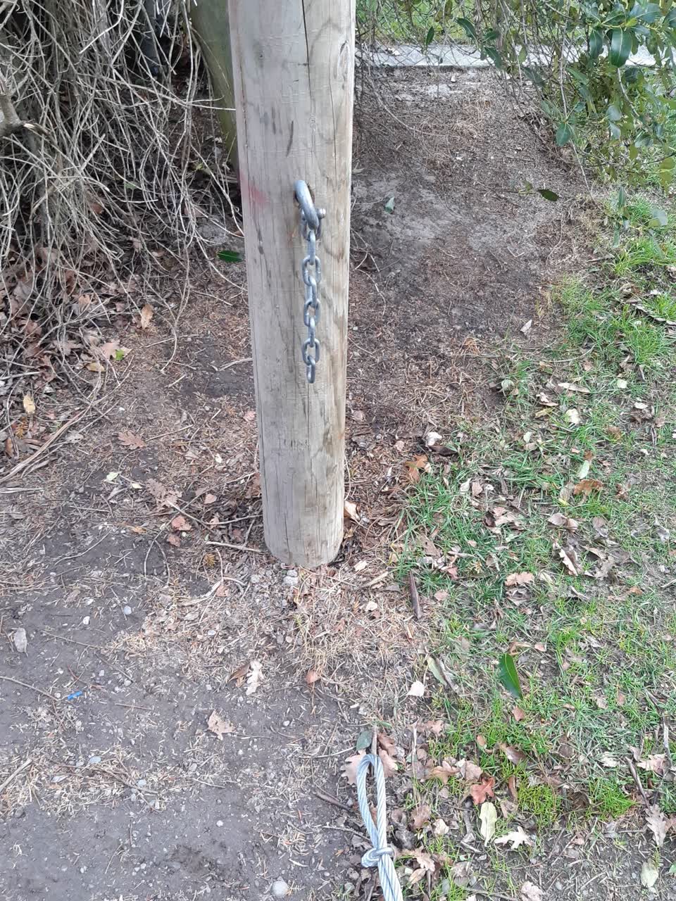The photograph attached to this parks report
