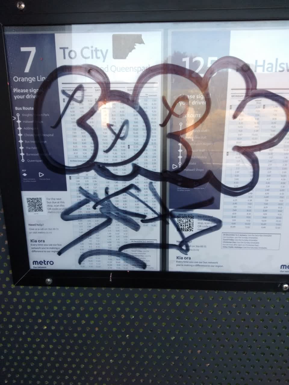 The photograph attached to this graffiti report