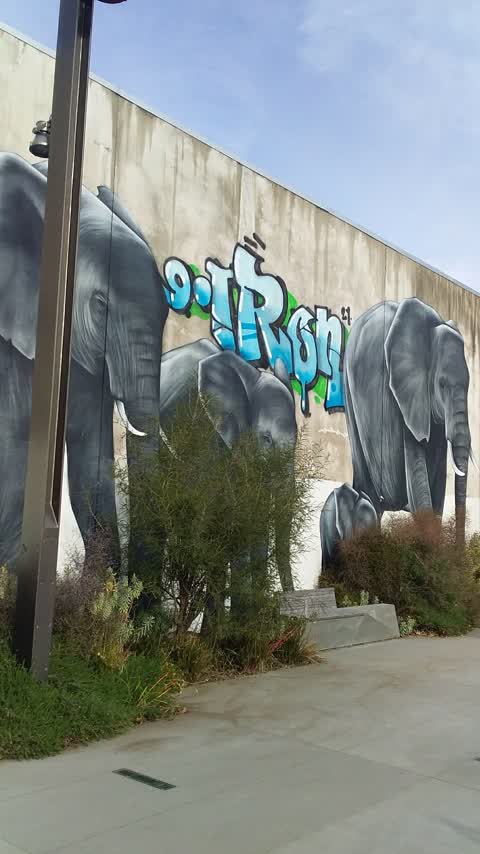 Graffiti — a report photo