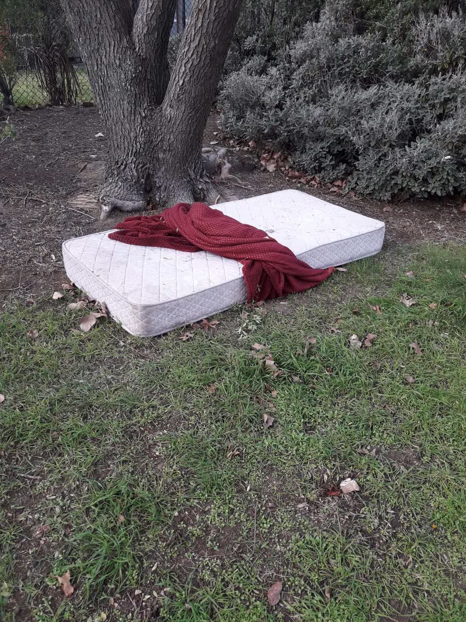 The photograph attached to this parks report