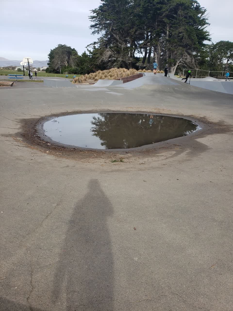 The photograph attached to this parks report