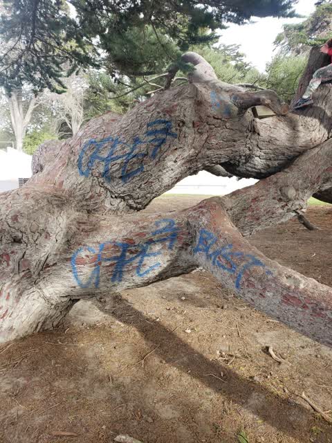 Parks, a report photo