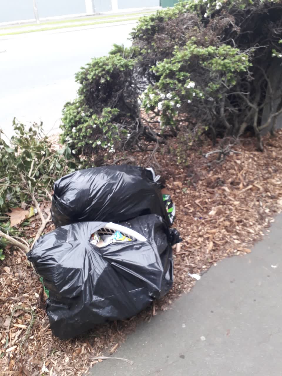 The photograph attached to this rubbish/recycling report