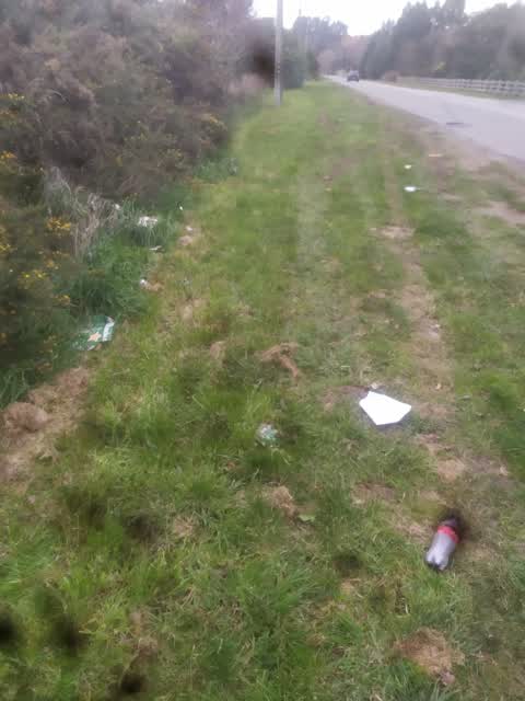 Rubbish/Recycling, a report photo
