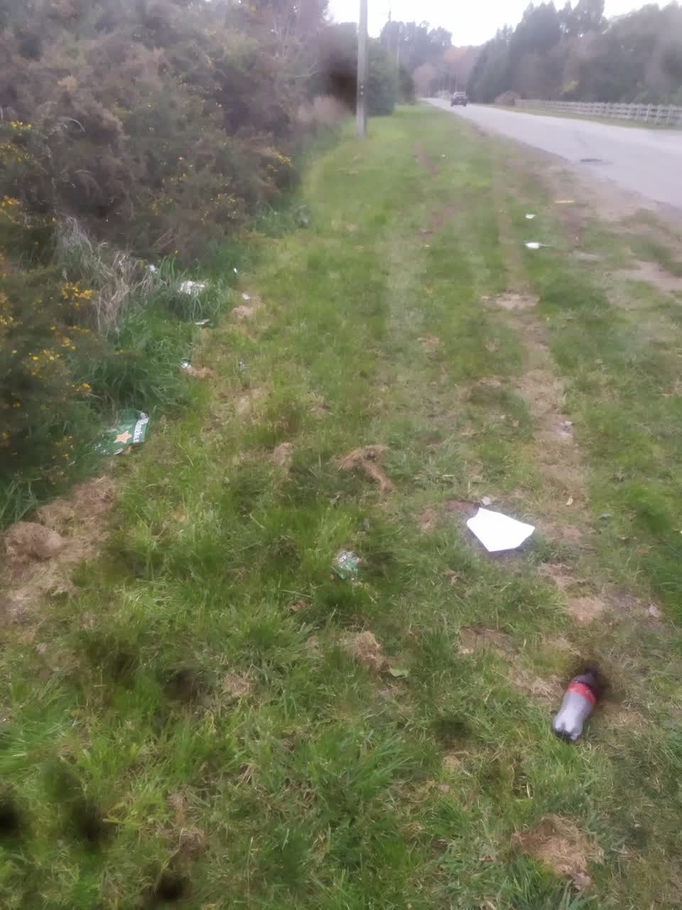 The photograph attached to this rubbish/recycling report
