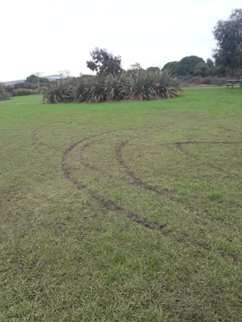 Parks, a report photo