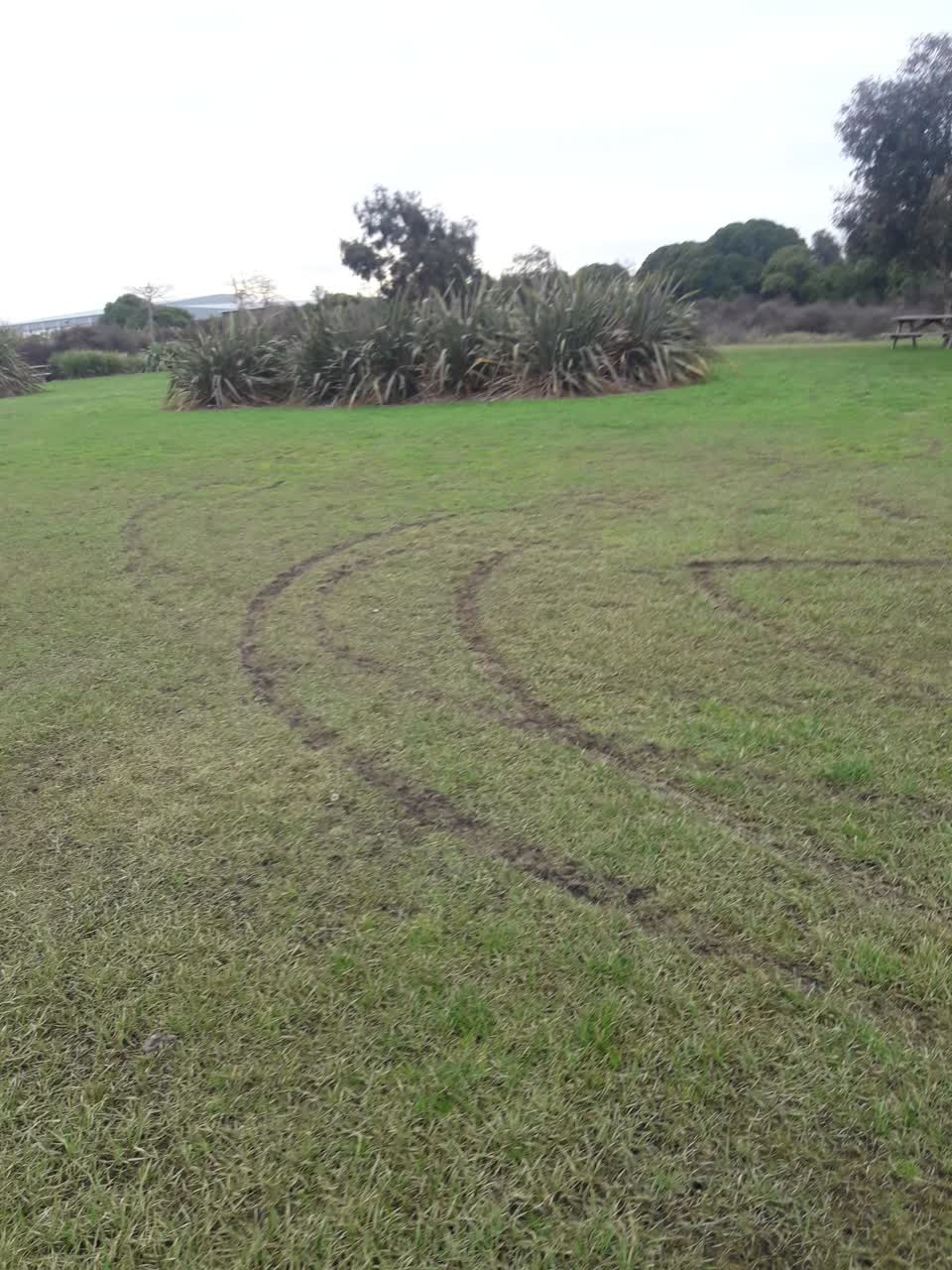 The photograph attached to this parks report