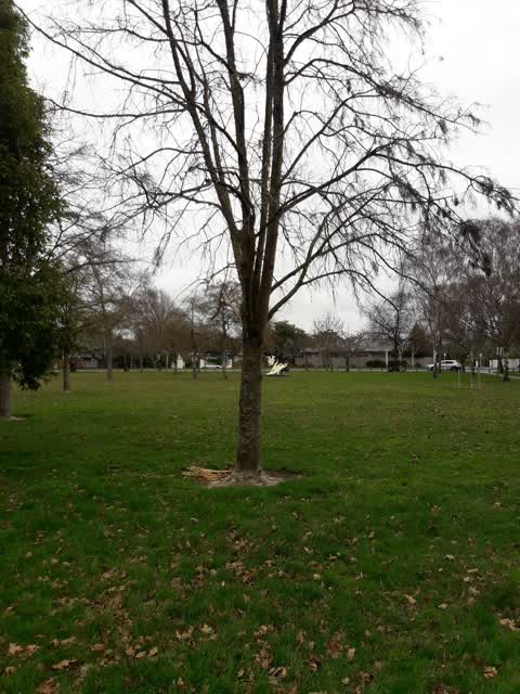 Parks, a report photo