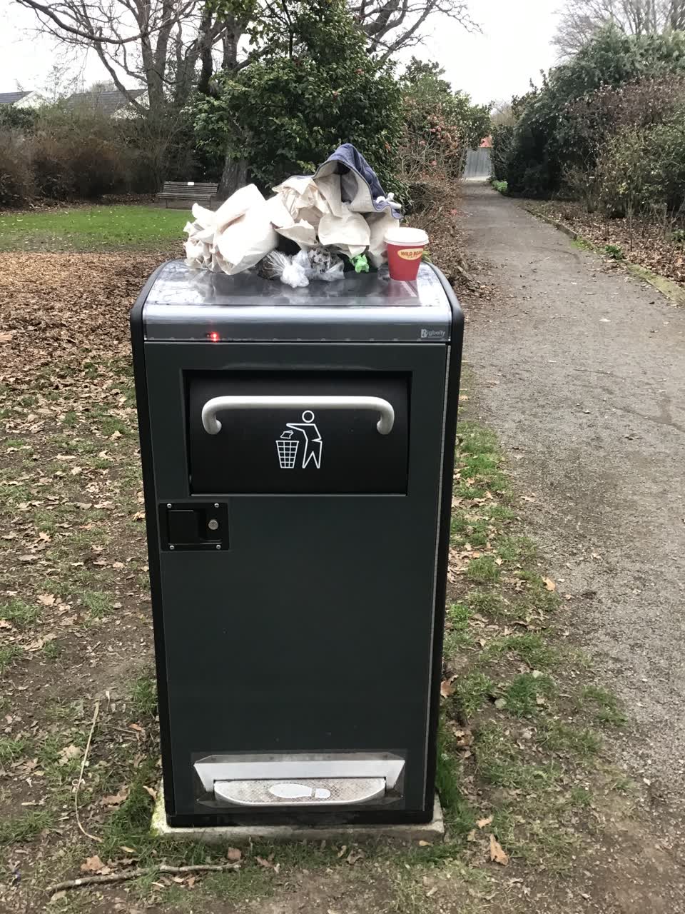 The photograph attached to this rubbish/recycling report