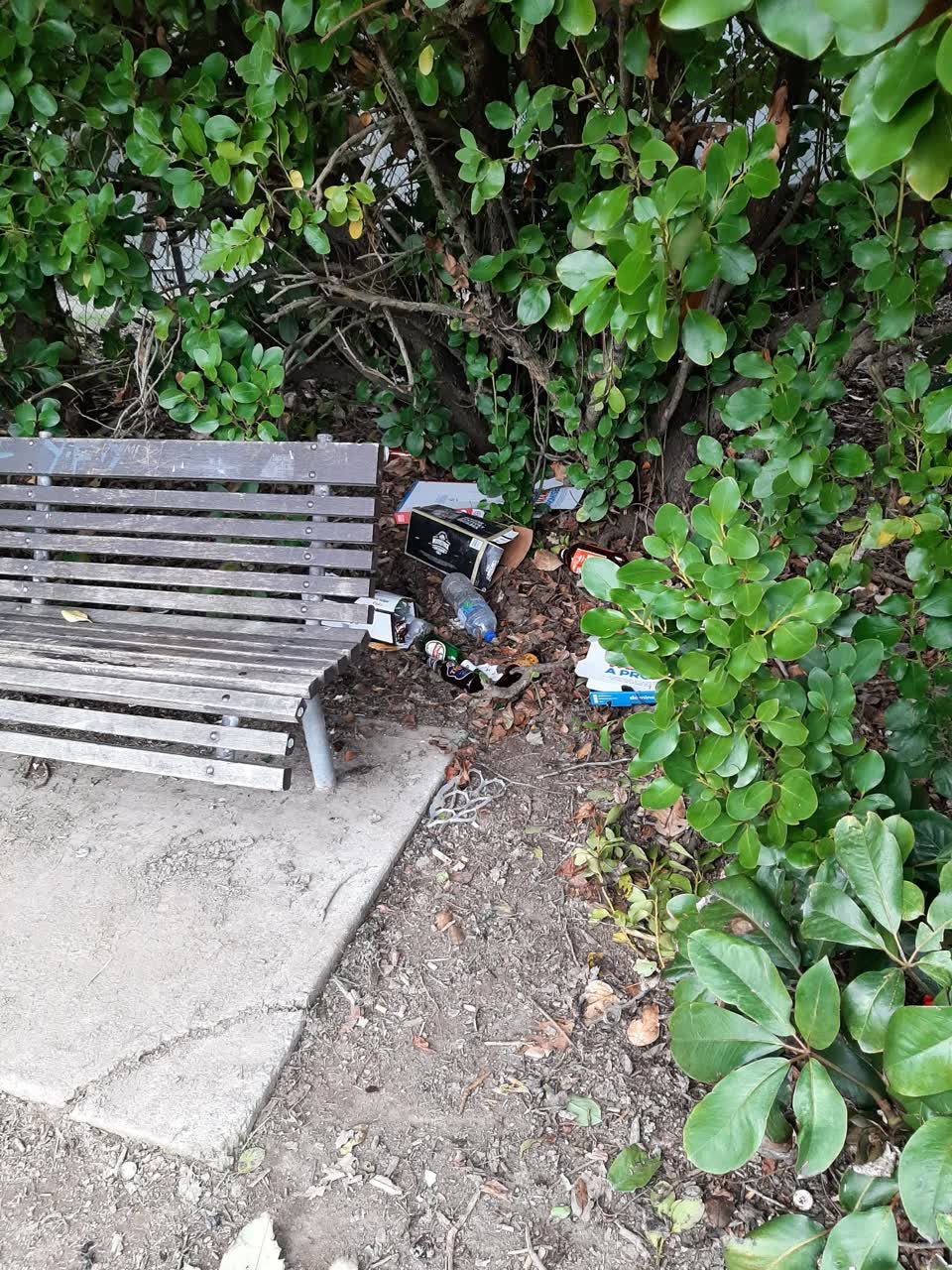 The photograph attached to this rubbish/recycling report