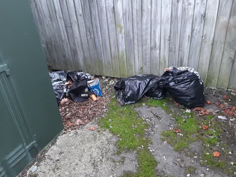 Rubbish/Recycling, a report photo