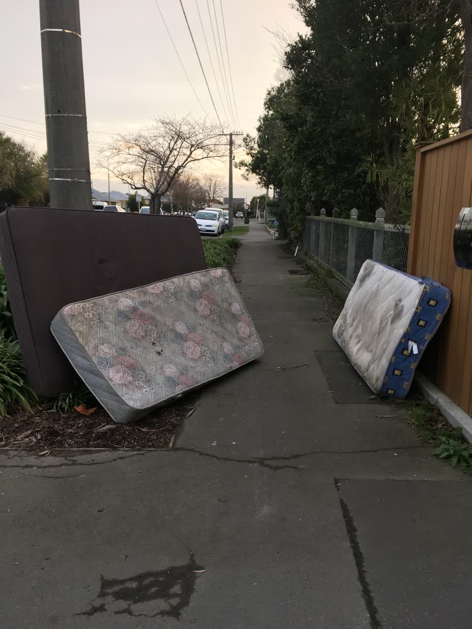 The photograph attached to this rubbish/recycling report