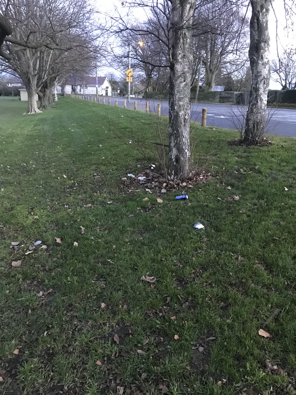 The photograph attached to this parks report