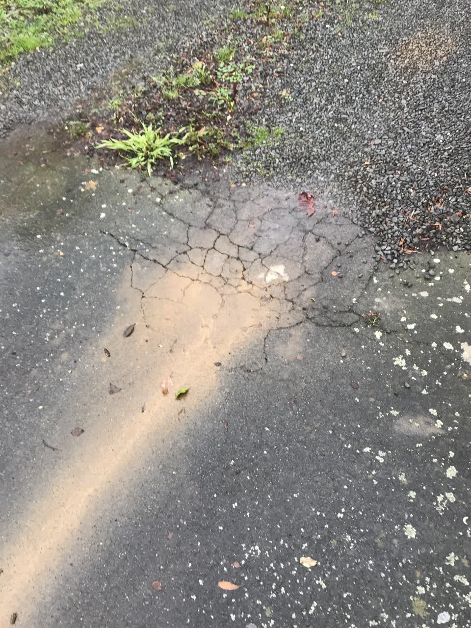The photograph attached to this water leak report