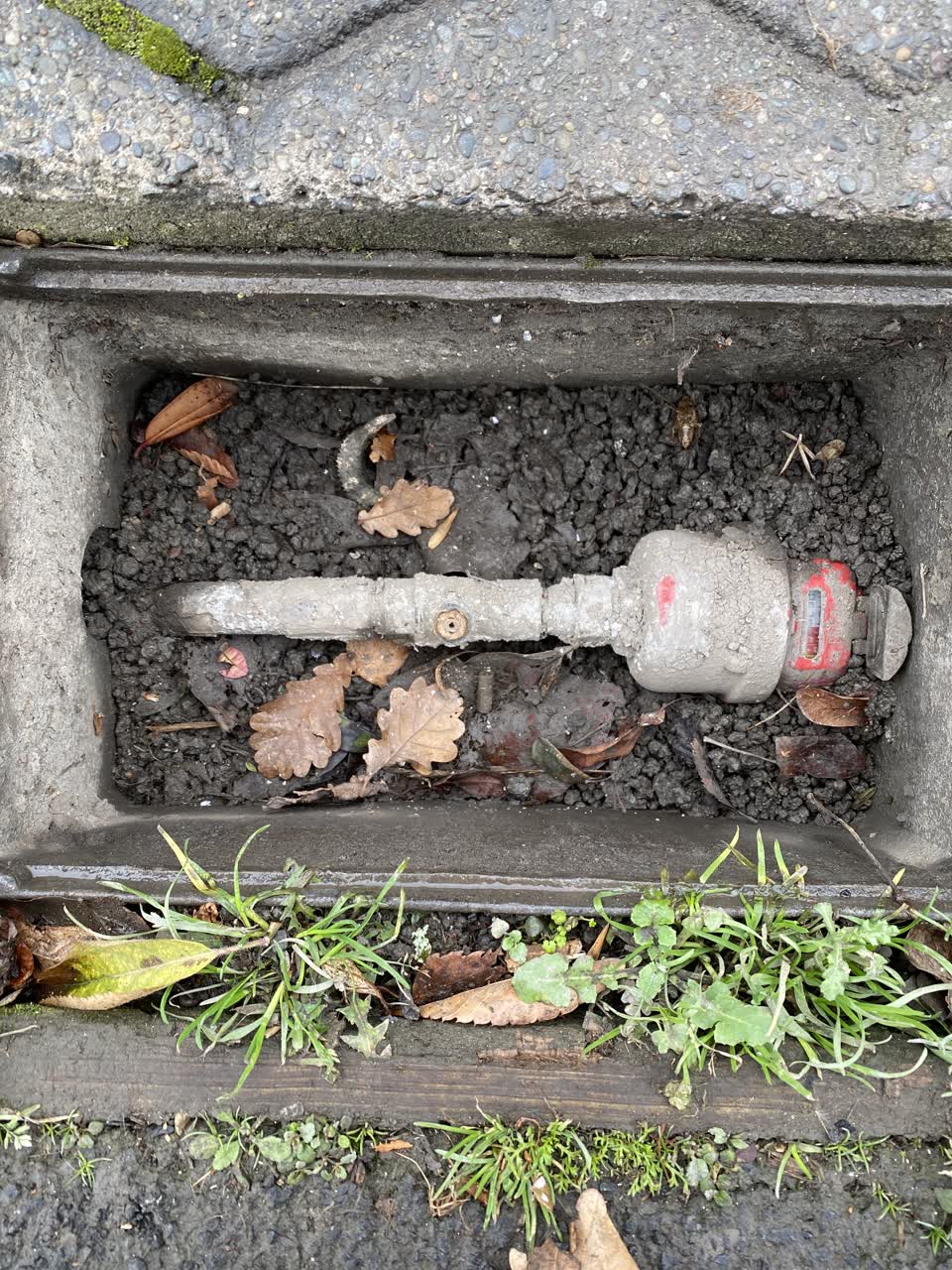 The photograph attached to this water supply report