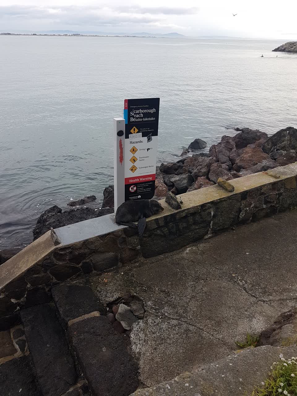 The photograph attached to this parks report