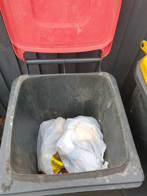 Rubbish/Recycling, a report photo