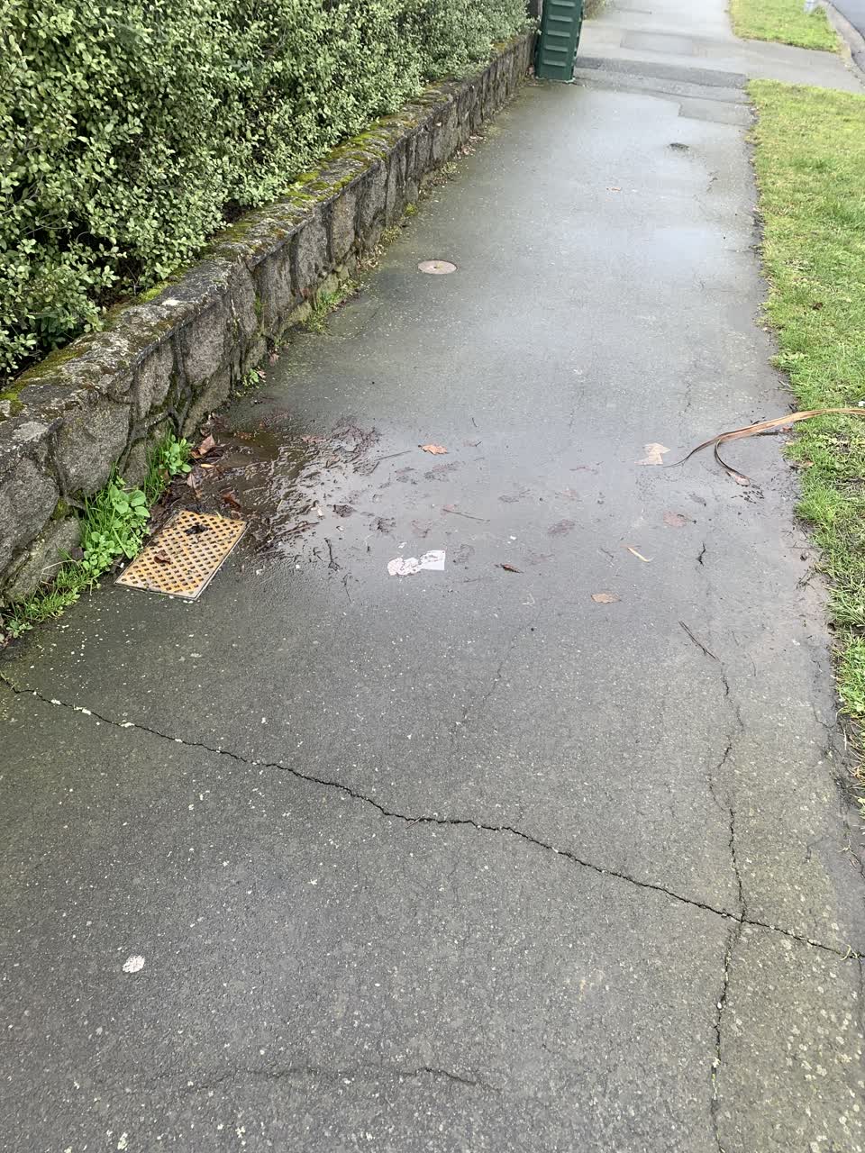 The photograph attached to this water supply report