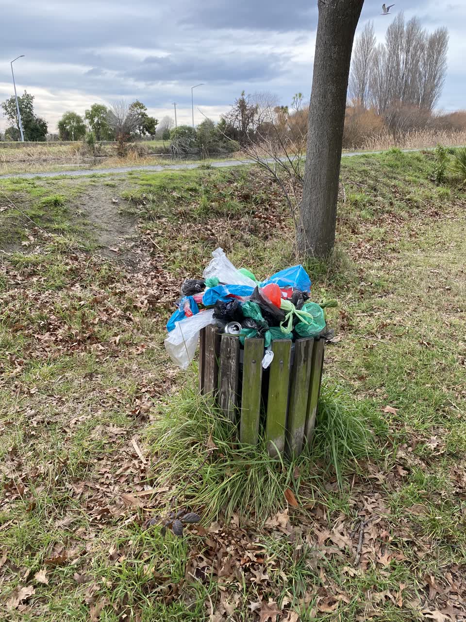 The photograph attached to this parks report