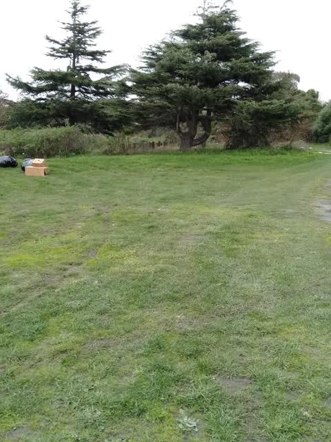 Rubbish/Recycling, a report photo