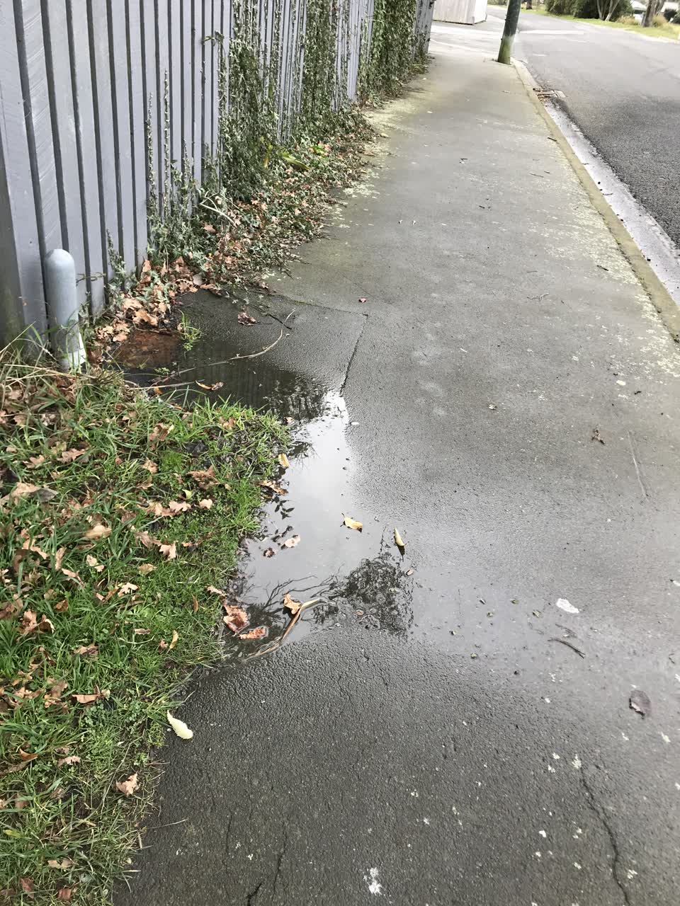 The photograph attached to this water leak report
