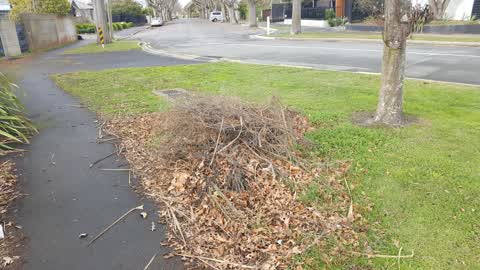 Rubbish/Recycling, a report photo