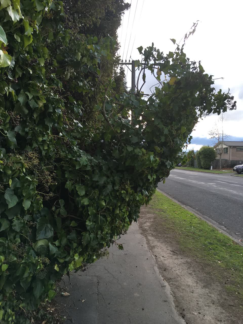 The photograph attached to this roading/streets report