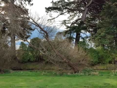 Parks, a report photo