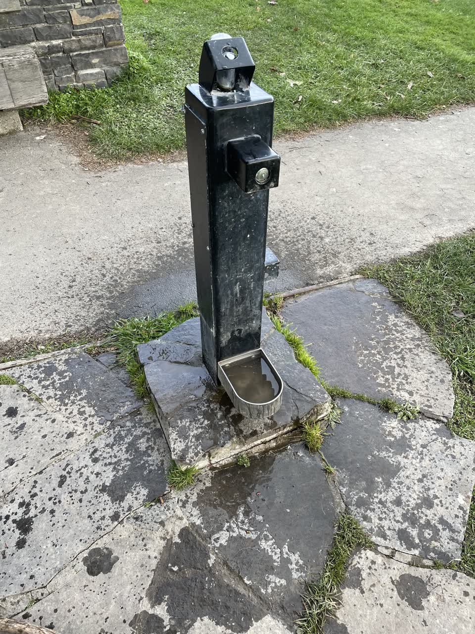 The photograph attached to this parks report