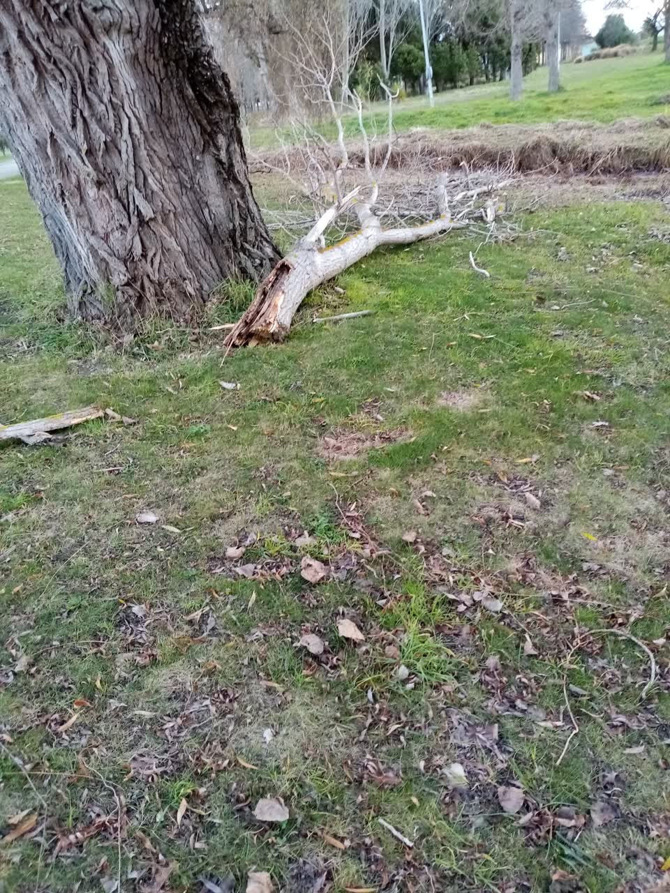 The photograph attached to this parks report