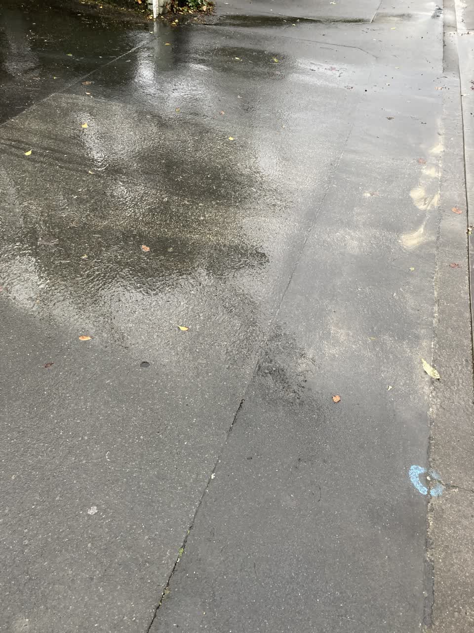 The photograph attached to this water leak report