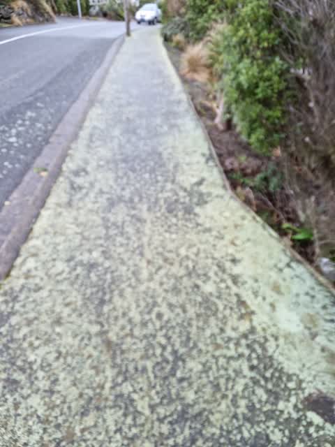 Roading/Streets, a report photo