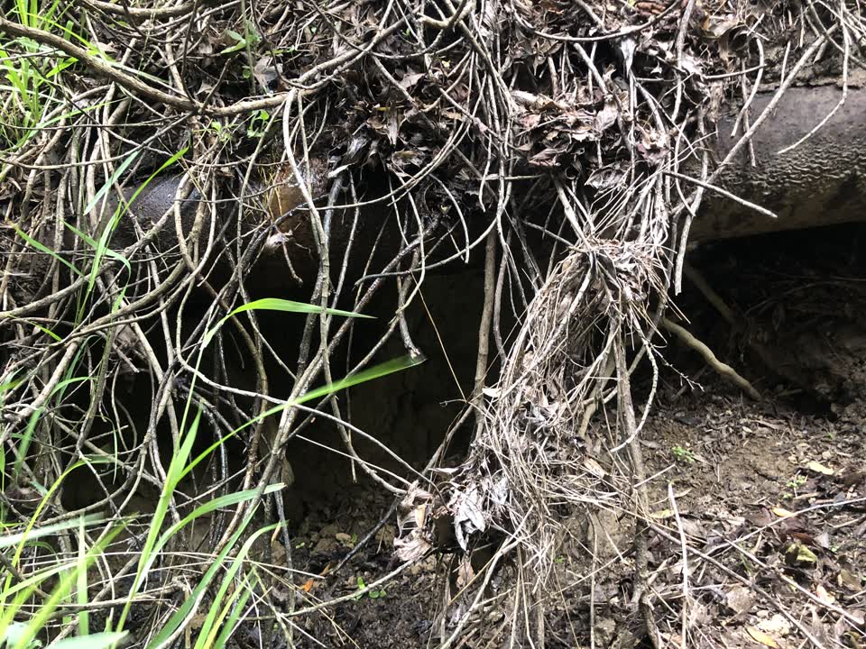 The photograph attached to this water leak report