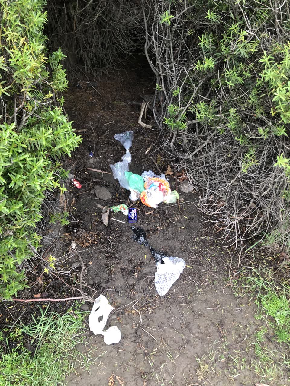 The photograph attached to this parks report