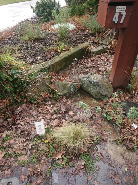 Water Leak, a report photo